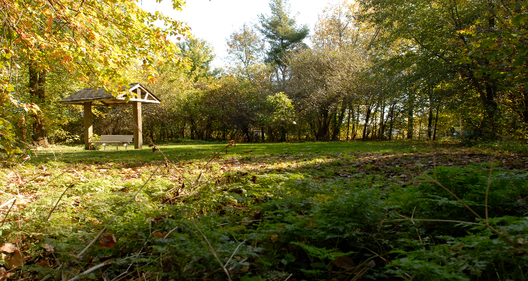 Revitalisation du parc du Ruisseau-Bernard