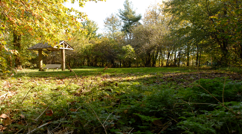 Revitalisation du parc du Ruisseau-Bernard – Phase 1 des travaux