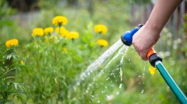 Réglementation sur l’arrosage et l’utilisation de l’eau potable à l’extérieur