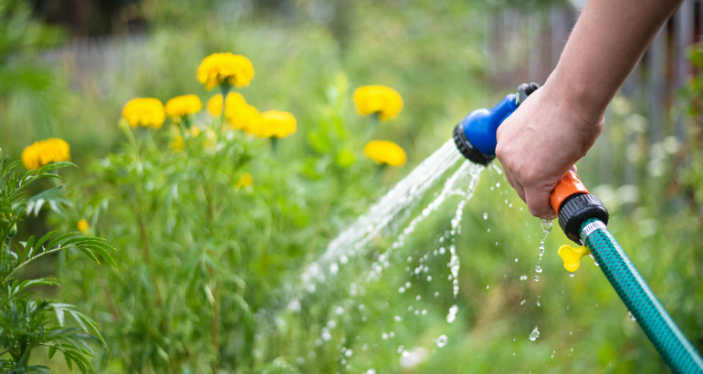 Réglementation sur l’arrosage et l’utilisation de l’eau potable à l’extérieur