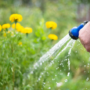 Réglementation sur l’arrosage et l’utilisation de l’eau potable à l’extérieur
