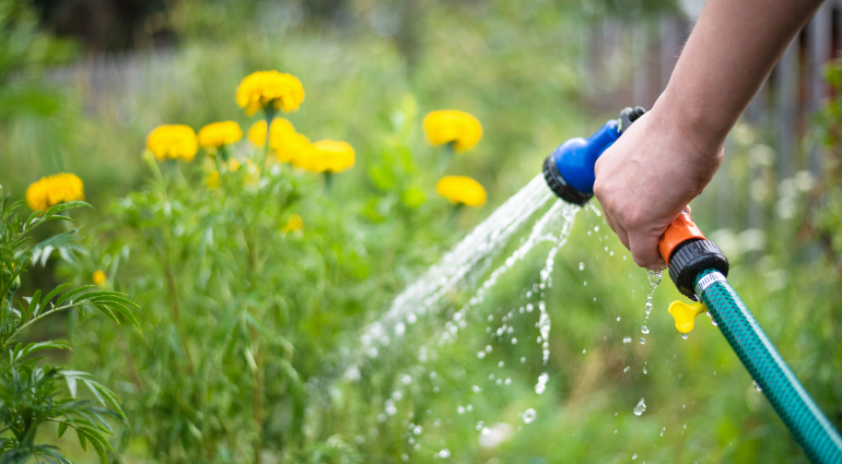 Réglementation sur l’arrosage et l’utilisation de l’eau potable à l’extérieur