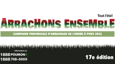 Campagne provinciale d’arrachage de l’herbe à poux