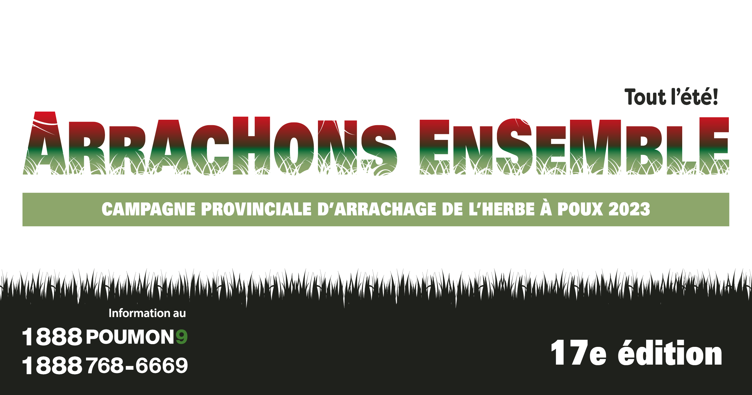 Campagne provinciale d’arrachage de l’herbe à poux