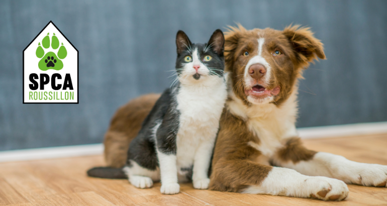 La SPCA Roussillon offre un point de services animaliers dans les anciens locaux de la RISAVR