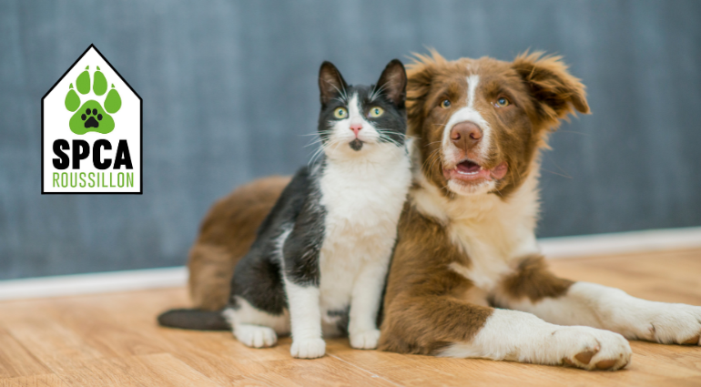 La SPCA Roussillon offre un point de services animaliers dans les anciens locaux de la RISAVR