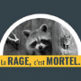 Interdiction de transporter certains animaux dans les régions à risque de propagation de la rage du raton laveur
