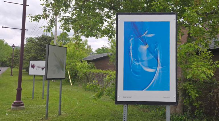 Une exposition photo extérieure de Julie Cormier, en collaboration avec le MBAMSH au sentier Roger-Dubuc
