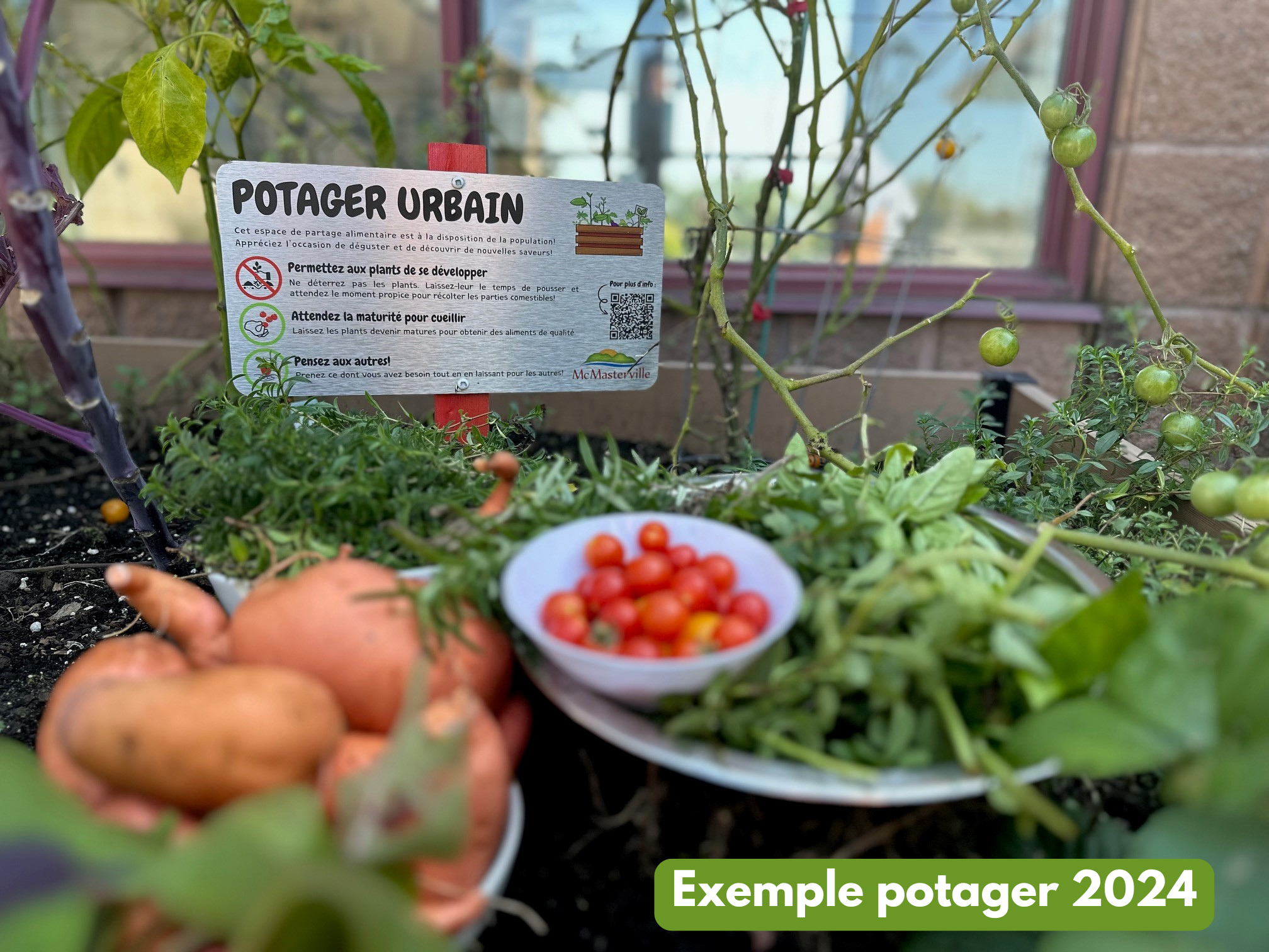 Profitez de nos potagers urbains à travers la ville!