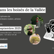Participez à un atelier artistique au boisé du parc du Ruisseau-Bernard!
