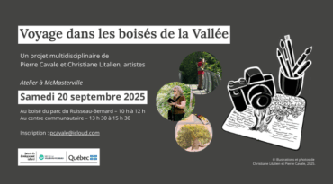 Participez à un atelier artistique au boisé du parc du Ruisseau-Bernard!