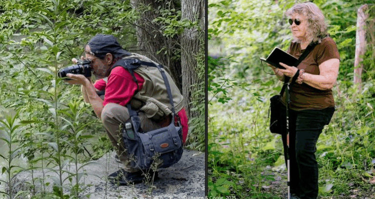 La MRCVR lance son appel de projets pour le Fonds culturel 2026