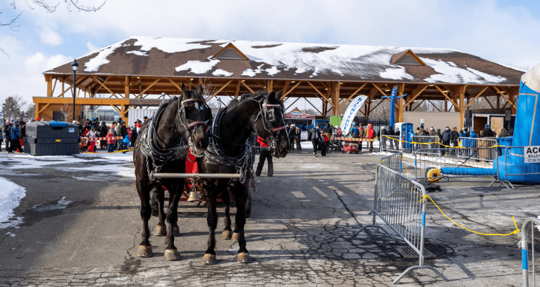 Une foule d’activités gratuites pour la 27e édition de Plaisirs d’hiver!